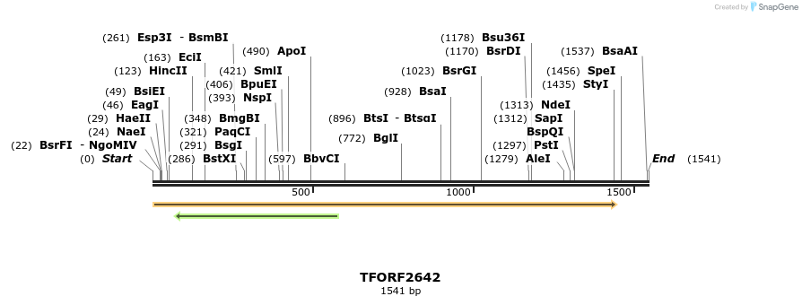 285153_map