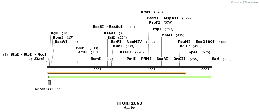 285156_map