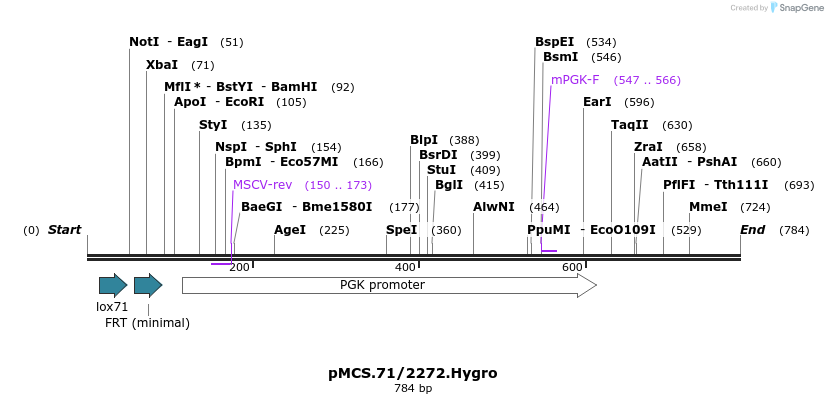 28516_map