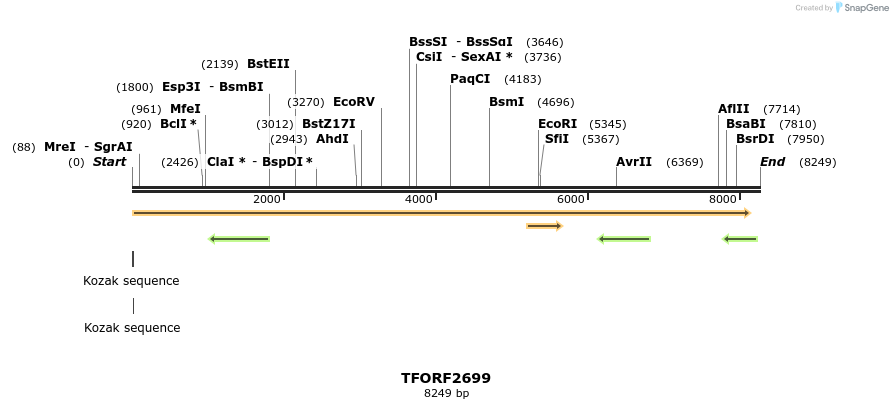 285162_map