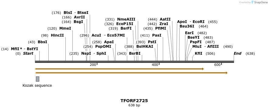 285165_map