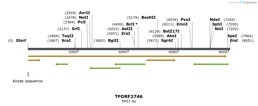 285168_map