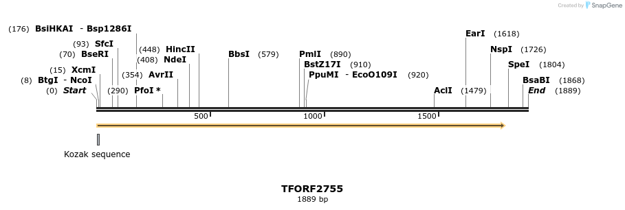 285171_map