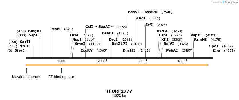 285174_map