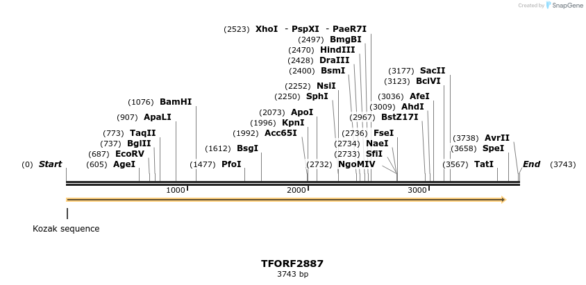 285177_map