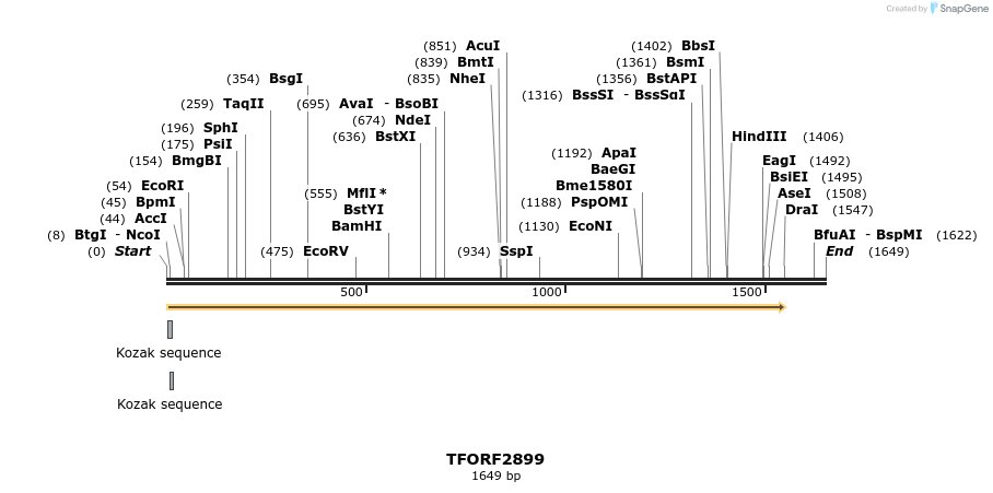 285183_map
