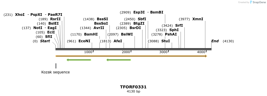 285186_map
