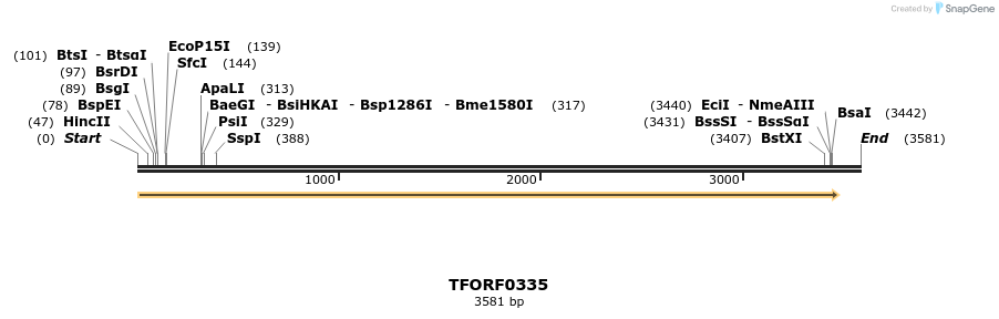 285189_map