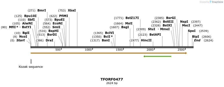 285192_map