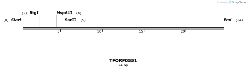 285196_map