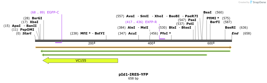 28520_map