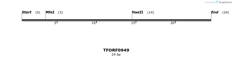 285202_map