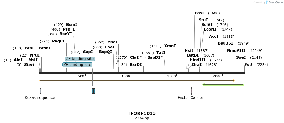 285204_map