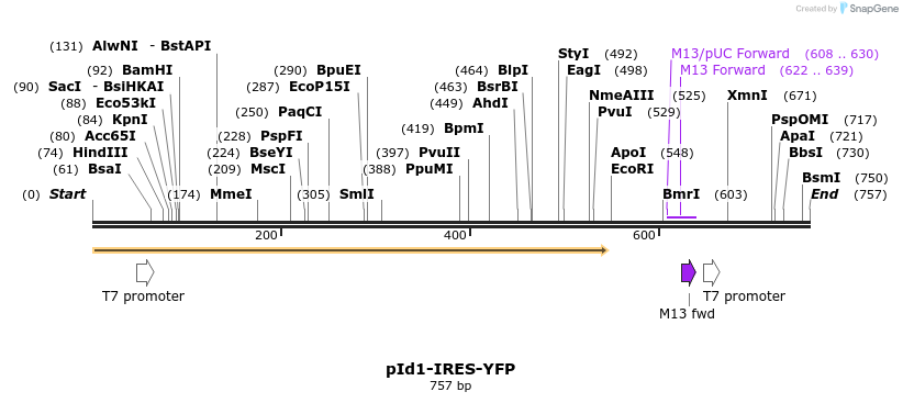 28521_map