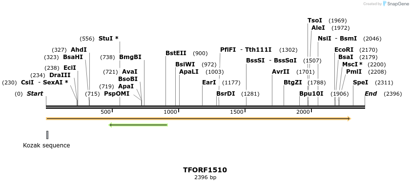 285210_map