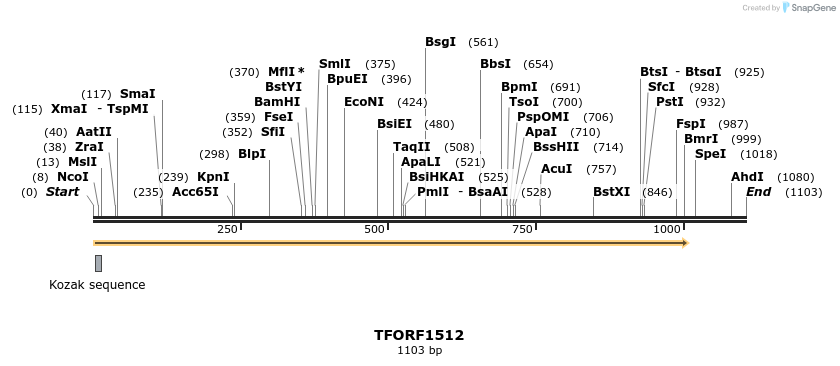 285213_map