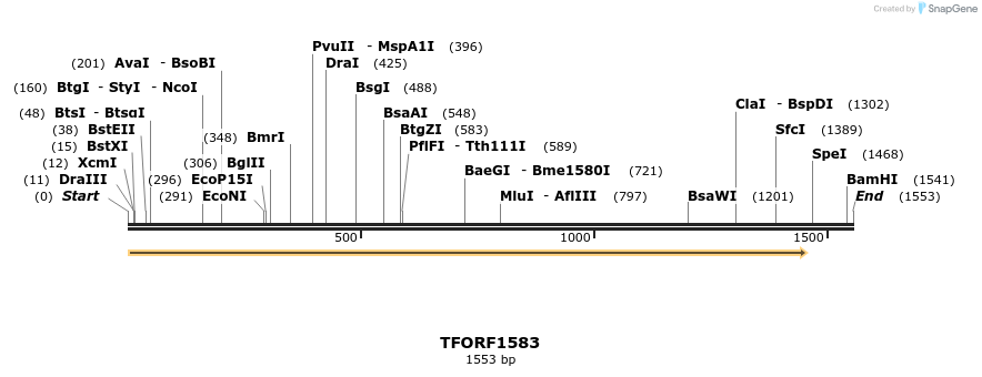 285216_map