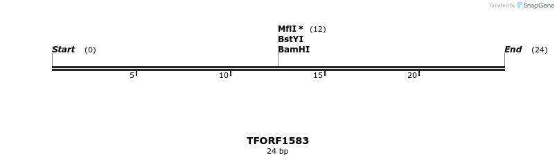 285217_map