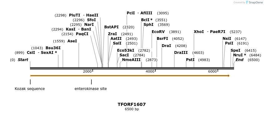 285219_map