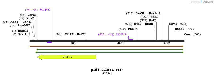 28522_map