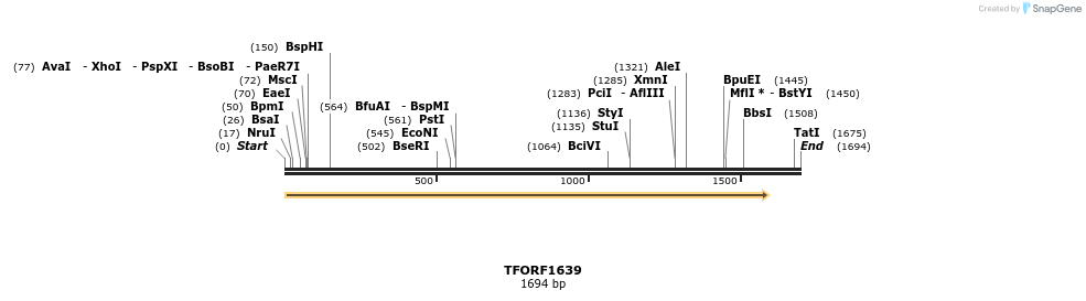 285225_map