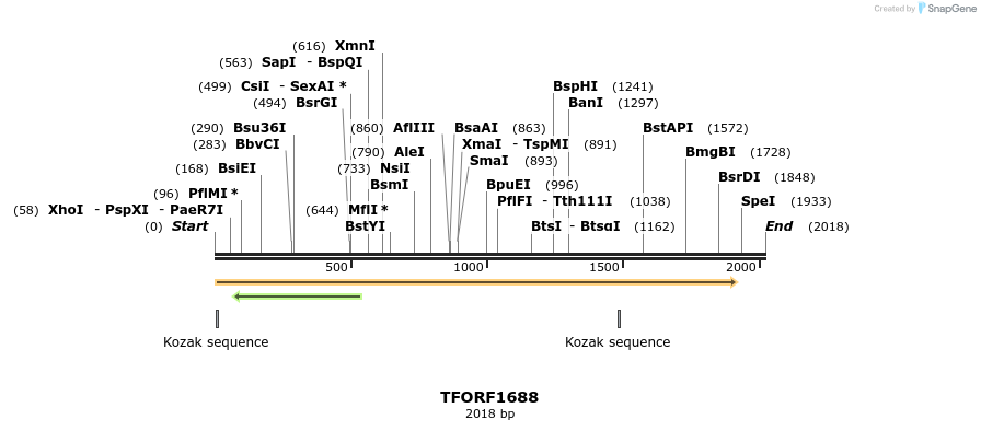 285228_map