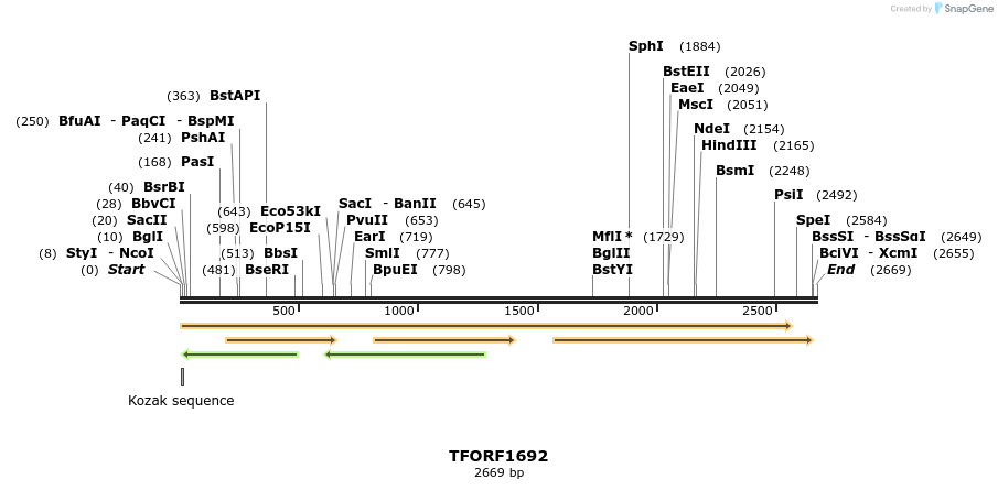 285231_map