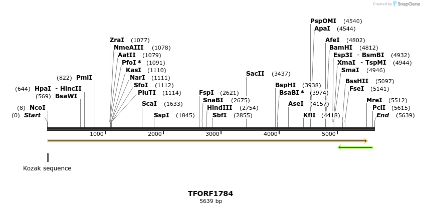 285234_map