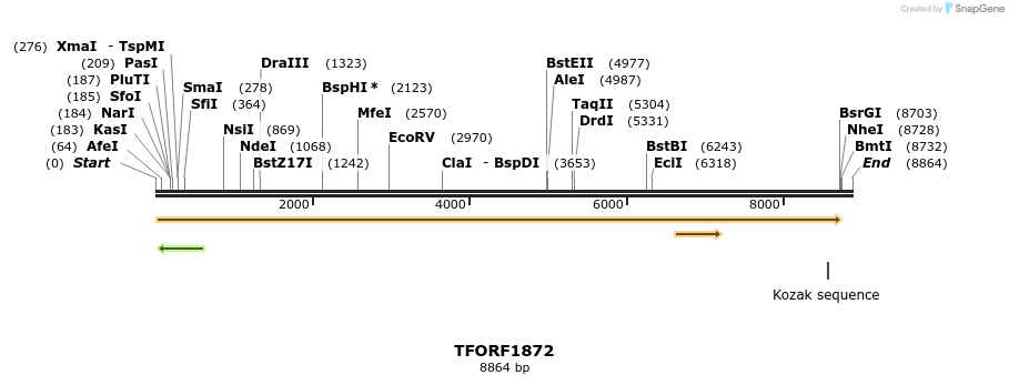 285237_map