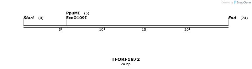285238_map