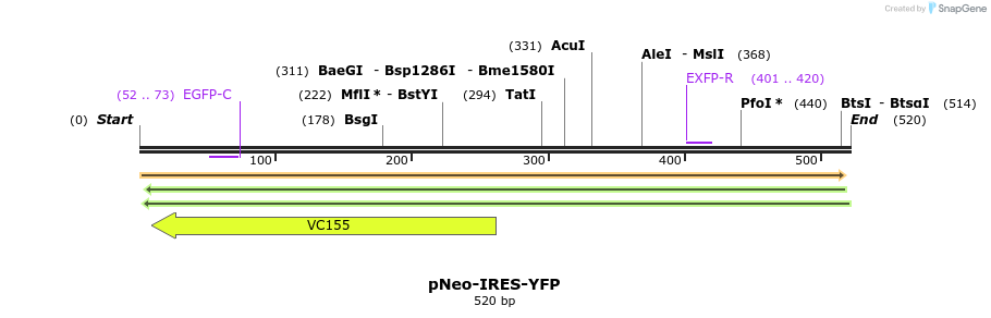 28524_map