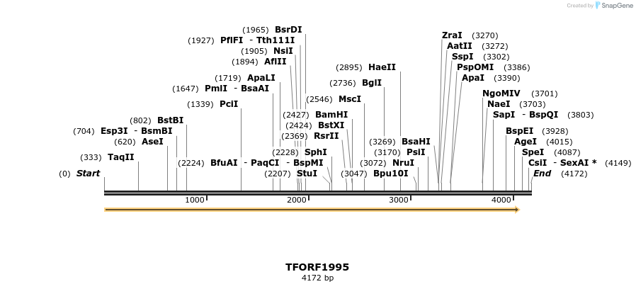 285243_map