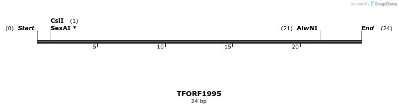 285244_map