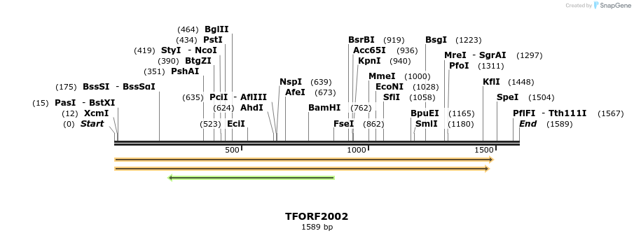 285246_map