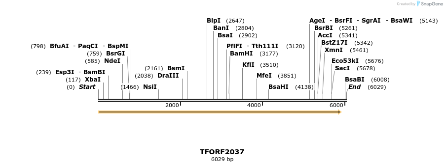 285249_map