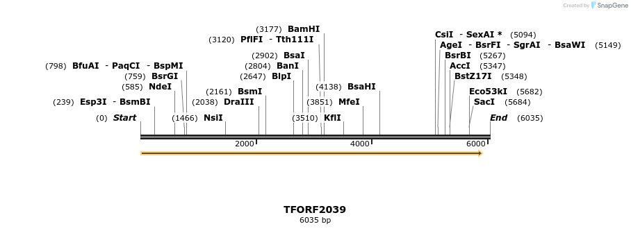 285252_map