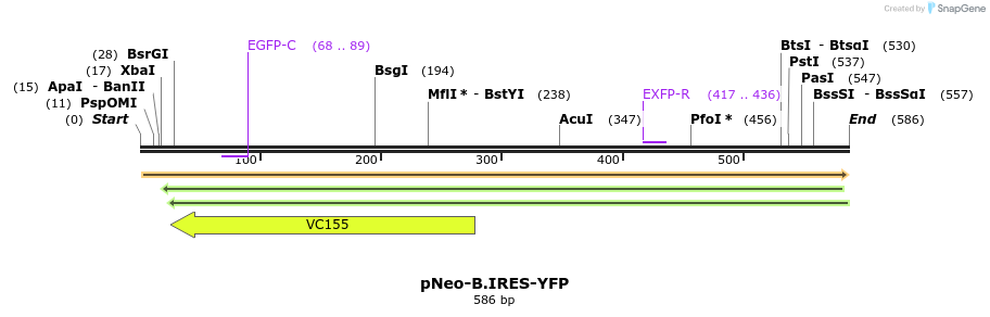 28526_map