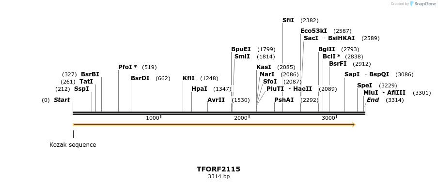 285267_map