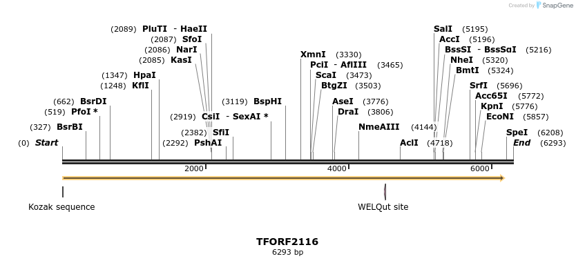 285270_map