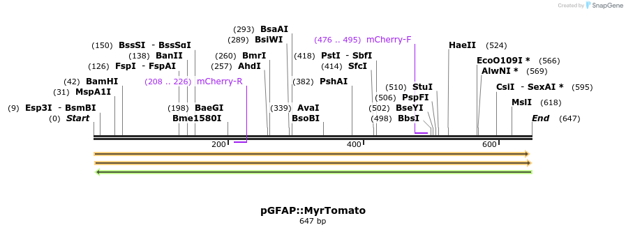 28528_map