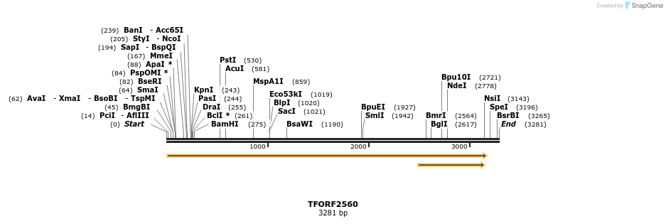 285282_map