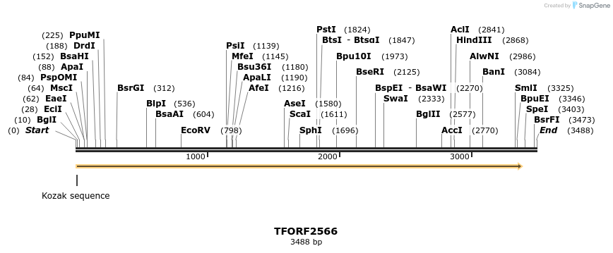 285285_map