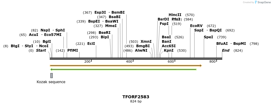 285288_map