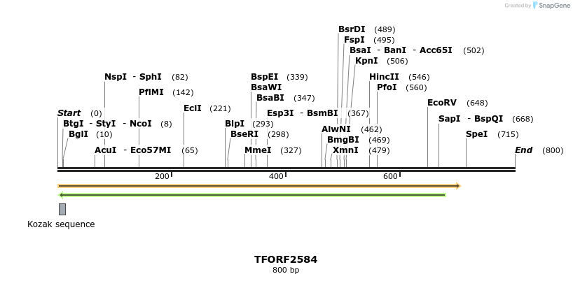 285291_map