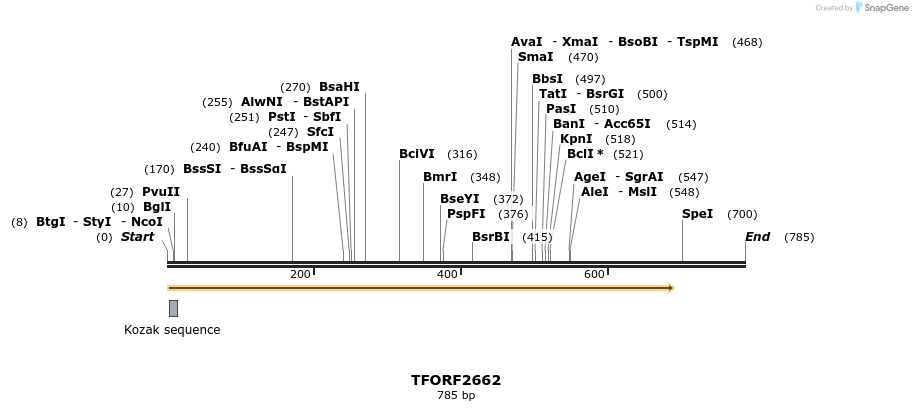 285300_map