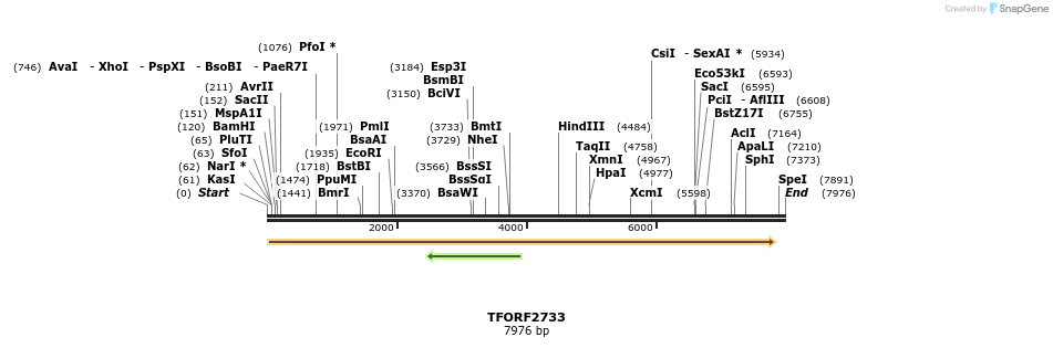 285306_map