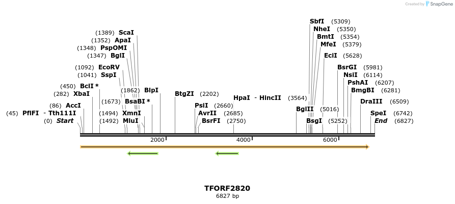 285309_map