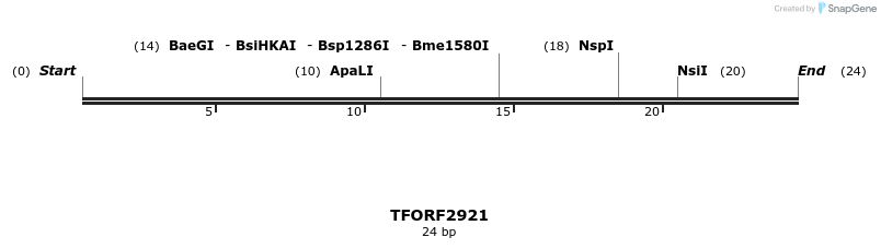 285316_map