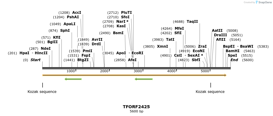 285327_map