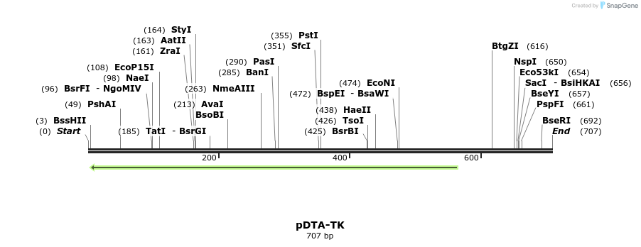 28533_map